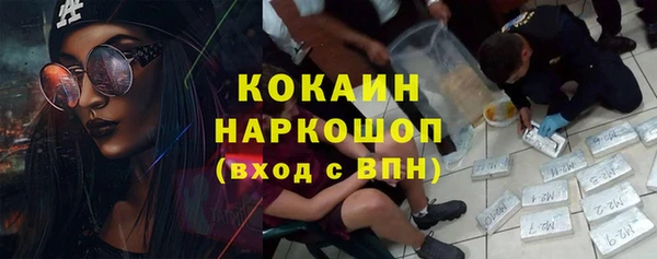 сатива Медвежьегорск