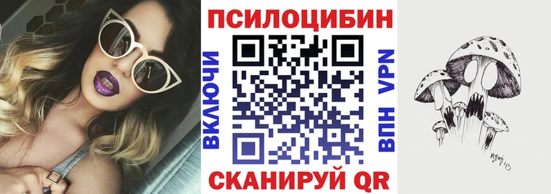 как найти закладки  Александровское  Галлюциногенные грибы MAGIC MUSHROOMS 